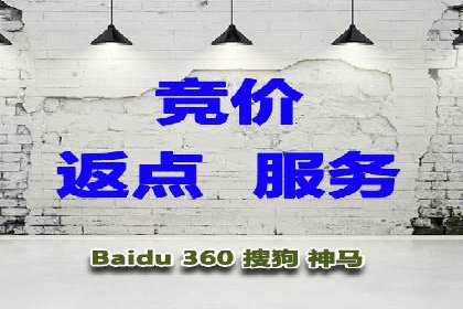 探索SEM推广代运营的奥秘：成功背后的故事